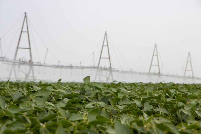 Yard Irrigation Service detail