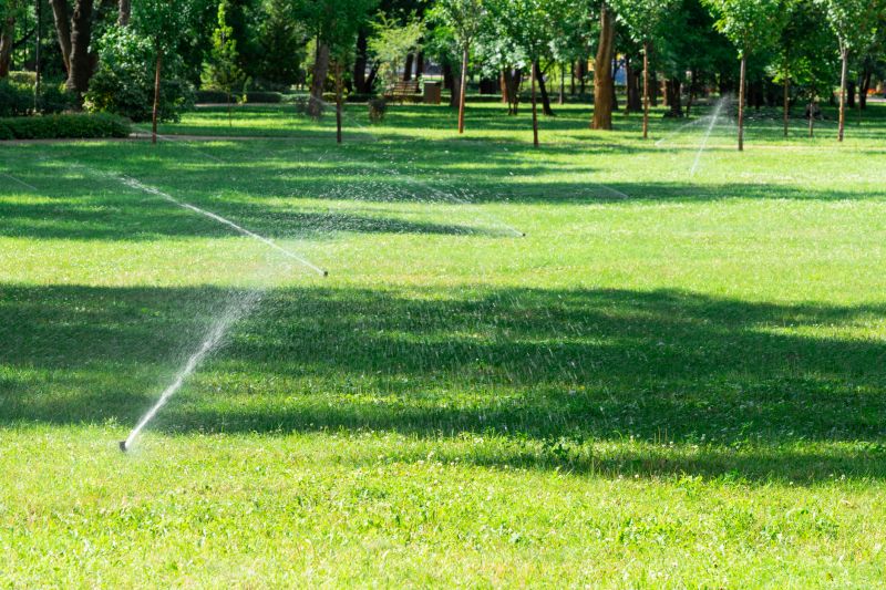 Yard Irrigation Installation